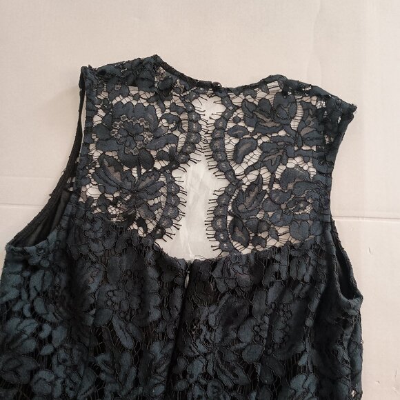 Banana Republic Women’s Blue Lace Sleeveless Sheath Dress Size 4P - Picture 4 of 13